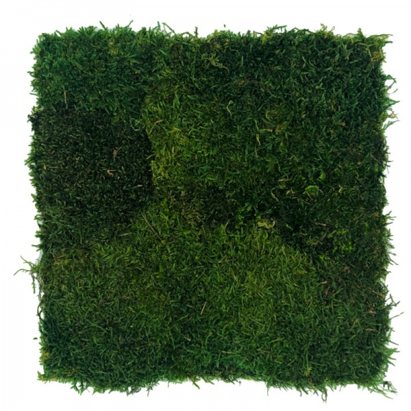 Flat ( Tyrolean ) moss wall panel 50 x 50cm | color - dark green